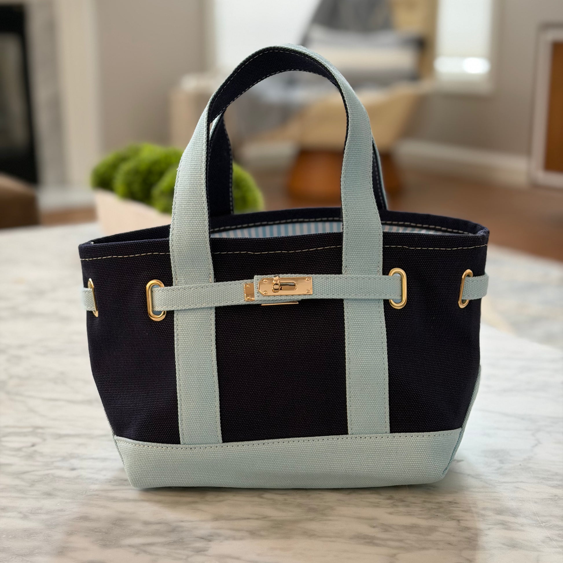 Charleston Mini Tote - Colorblock