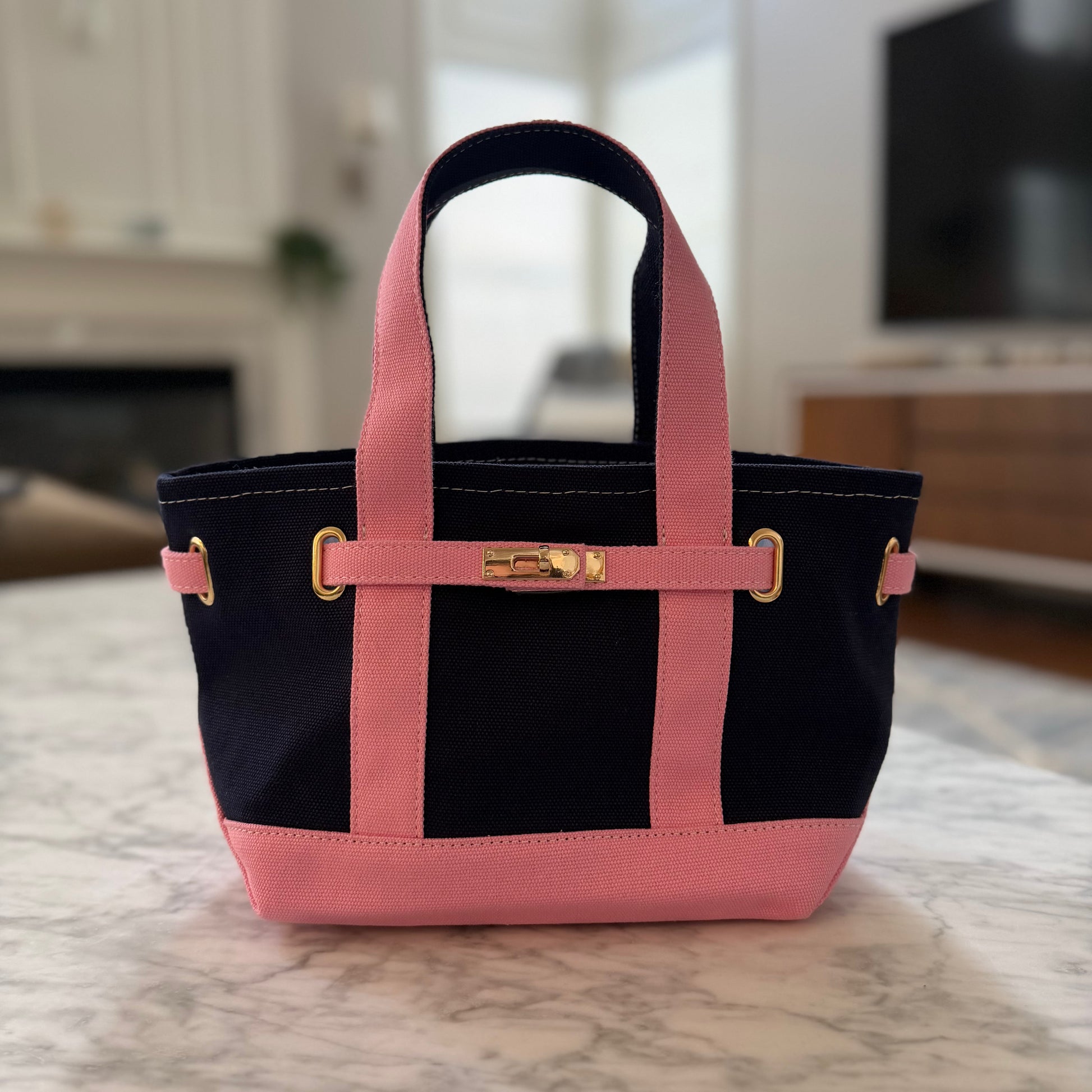 Charleston Mini Tote - Colorblock